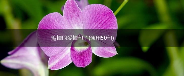 煽情的爱情句子(通用50句),第1张