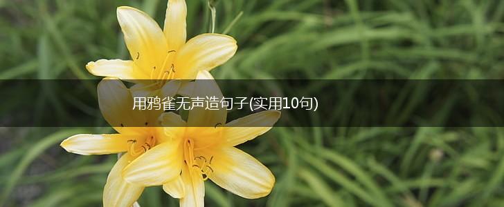 用鸦雀无声造句子(实用10句),第1张