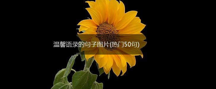 温馨语录的句子图片(热门50句),第1张