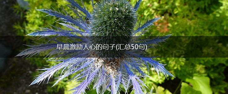 早晨激励人心的句子(汇总50句),第1张
