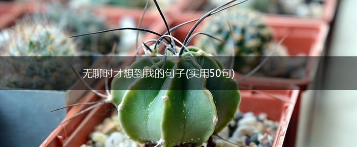 无聊时才想到我的句子(实用50句),第1张