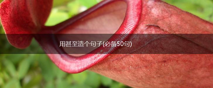 用甚至造个句子(必备50句),第1张