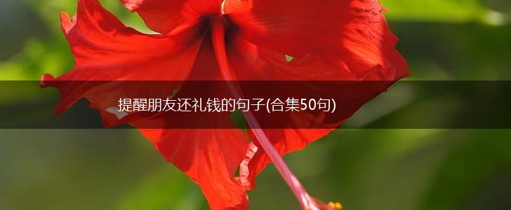 提醒朋友还礼钱的句子(合集50句),第1张