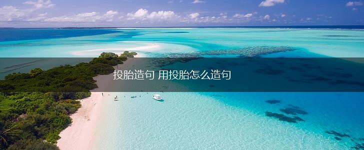 投胎造句 用投胎怎么造句,第1张
