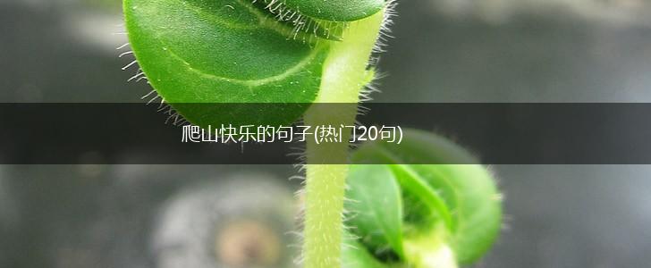 爬山快乐的句子(热门20句),第1张