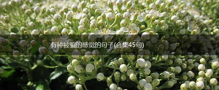 有种被骗的感觉的句子(合集45句),第1张