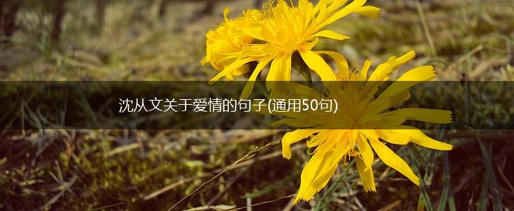 沈从文关于爱情的句子(通用50句),第1张