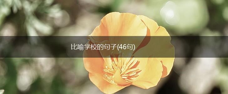 比喻学校的句子(46句),第1张