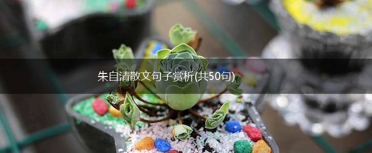 朱自清散文句子赏析(共50句),第1张