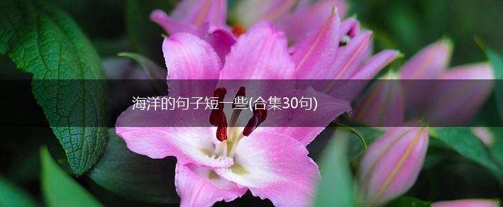 海洋的句子短一些(合集30句),第1张