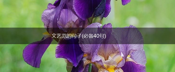 文艺范的句子(必备40句),第1张