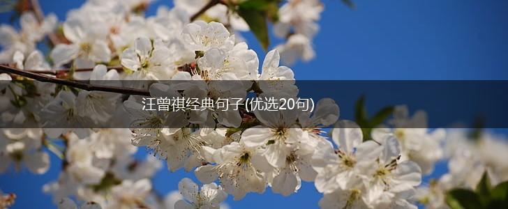 汪曾祺经典句子(优选20句),第1张
