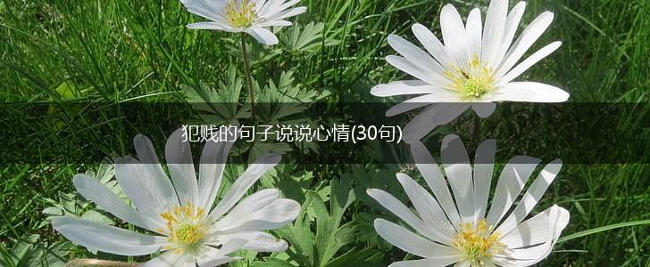 犯贱的句子说说心情(30句),第1张