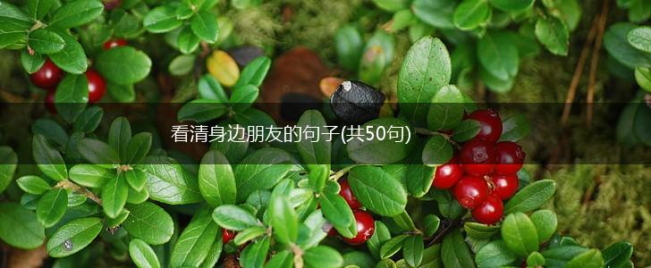 看清身边朋友的句子(共50句),第1张