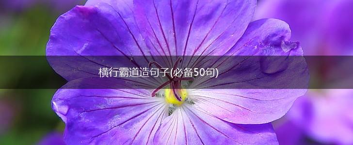 横行霸道造句子(必备50句),第1张
