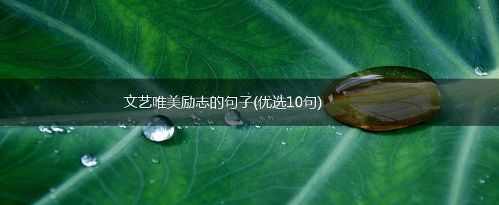 文艺唯美励志的句子(优选10句),第1张