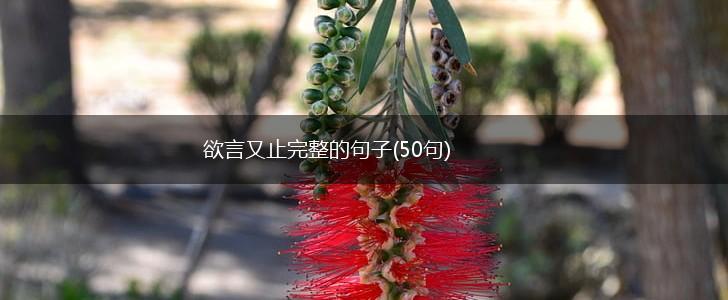 欲言又止完整的句子(50句),第1张