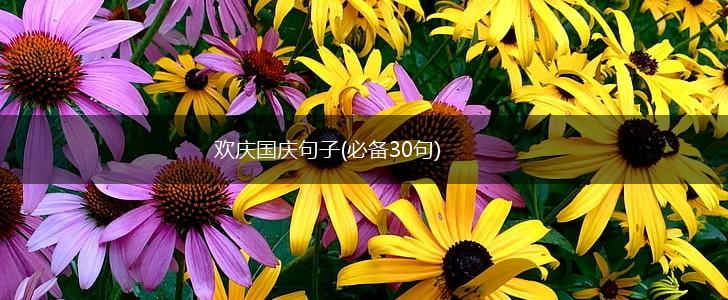欢庆国庆句子(必备30句),第1张