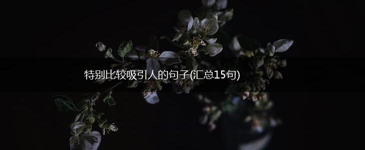 特别比较吸引人的句子(汇总15句),第1张