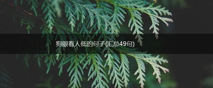 狗眼看人低的句子(汇总49句),第1张
