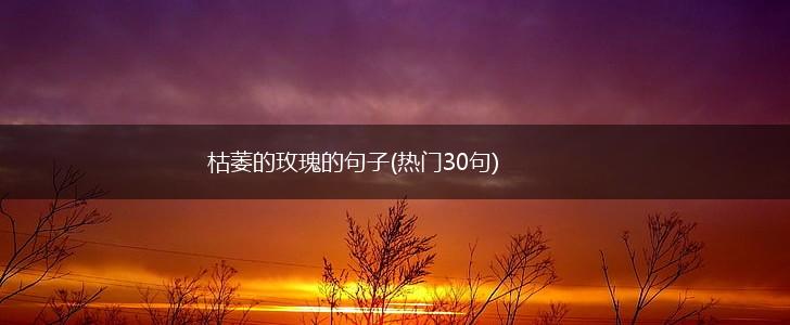 枯萎的玫瑰的句子(热门30句),第1张