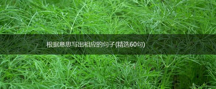 根据意思写出相应的句子(精选60句),第1张