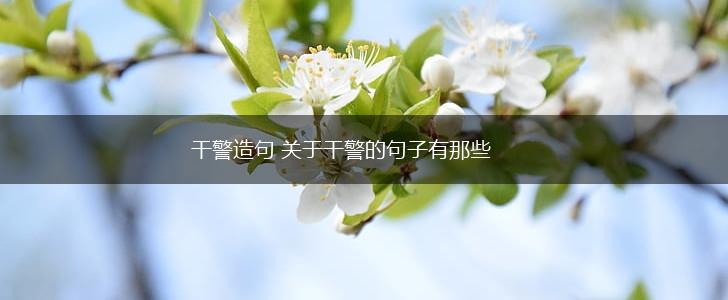 干警造句 关于干警的句子有那些,第1张