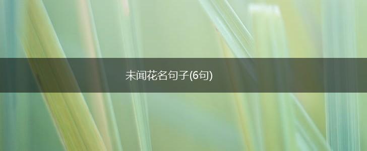未闻花名句子(6句),第1张