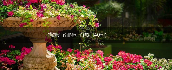 描绘江南的句子(热门40句),第1张