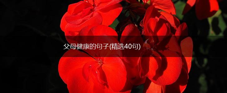 父母健康的句子(精选40句),第1张
