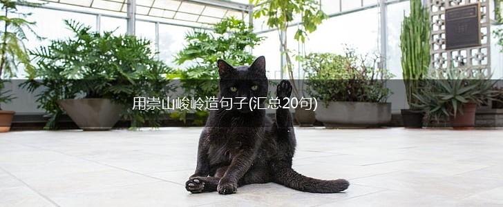 用崇山峻岭造句子(汇总20句),第1张
