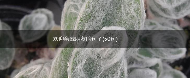 欢迎亲戚朋友的句子(50句),第1张