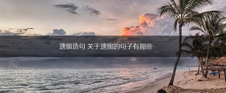 遗留造句 关于遗留的句子有那些,第1张