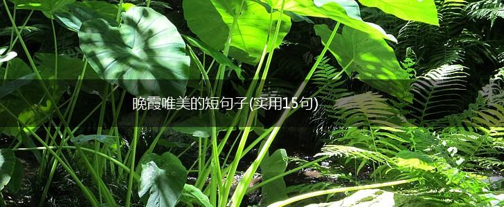晚霞唯美的短句子(实用15句),第1张
