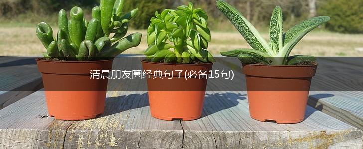 清晨朋友圈经典句子(必备15句),第1张