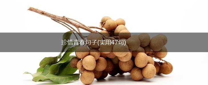 珍惜青春句子(实用47句),第1张