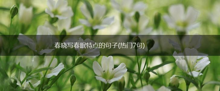 春晓写春眠特点的句子(热门7句),第1张