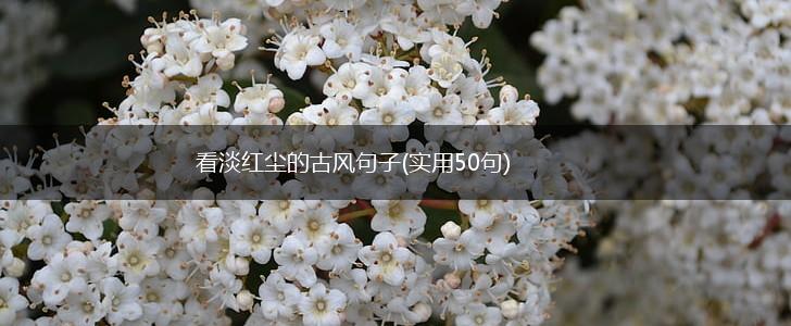 看淡红尘的古风句子(实用50句),第1张