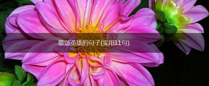 歌颂英雄的句子(实用11句),第1张