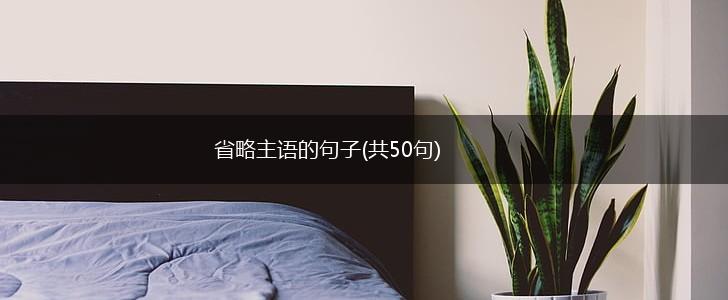 省略主语的句子(共50句),第1张
