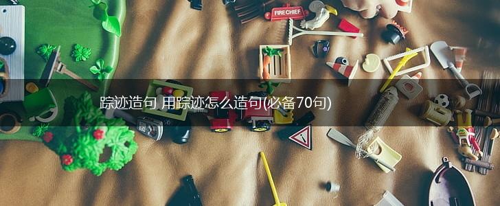 踪迹造句 用踪迹怎么造句(必备70句),第1张