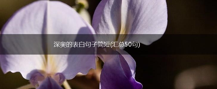 深奥的表白句子简短(汇总50句),第1张