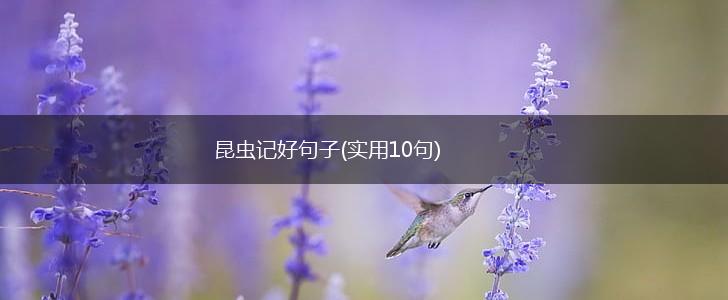昆虫记好句子(实用10句),第1张