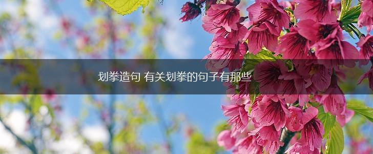 划拳造句 有关划拳的句子有那些,第1张