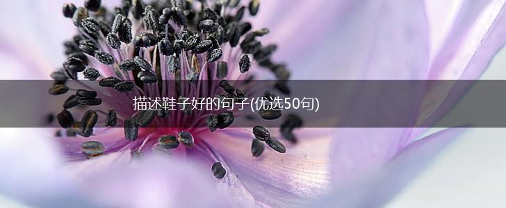描述鞋子好的句子(优选50句),第1张