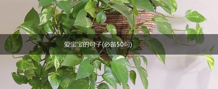 爱宝宝的句子(必备50句),第1张