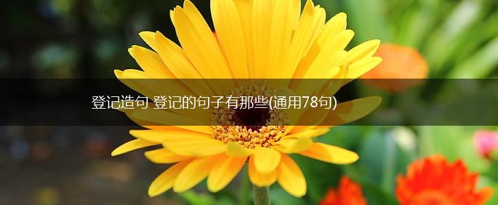 登记造句 登记的句子有那些(通用78句),第1张