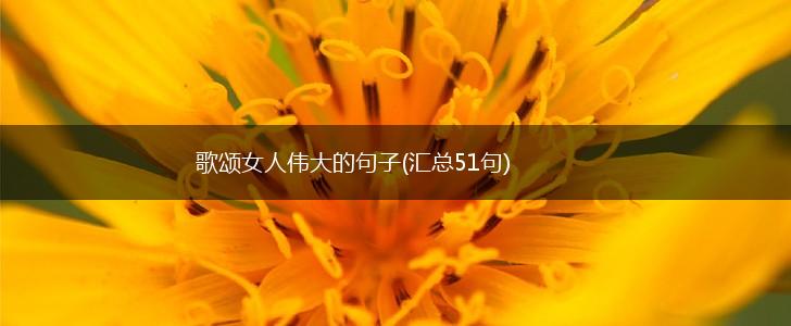 歌颂女人伟大的句子(汇总51句),第1张
