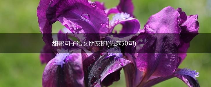 甜蜜句子给女朋友的(优选50句),第1张