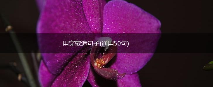 用穿戴造句子(通用50句),第1张
